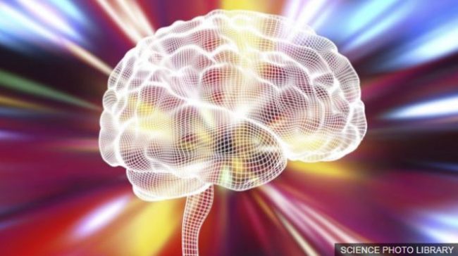 _98222632_brainrainbowspl